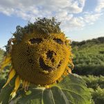 Herbstferien
